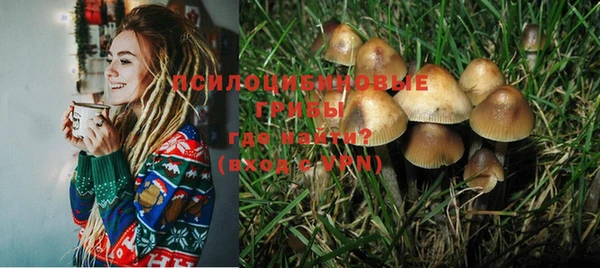 прущая мука Алзамай