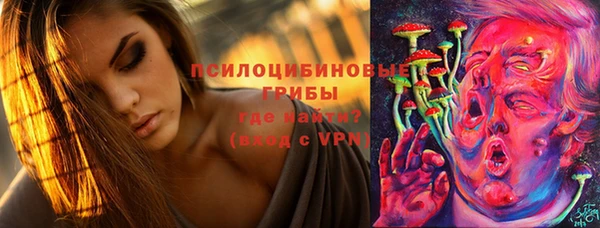 прущая мука Алзамай