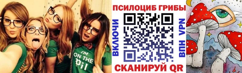 Псилоцибиновые грибы MAGIC MUSHROOMS  закладка  Сургут 