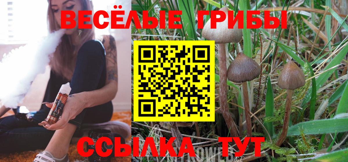 Псилоцибиновые грибы мицелий  Галлюциногенные грибы Cubensis  Сургут  Вход с VPN 