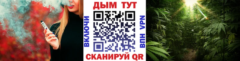 Каннабис сатива  продажа наркотиков  Сургут 
